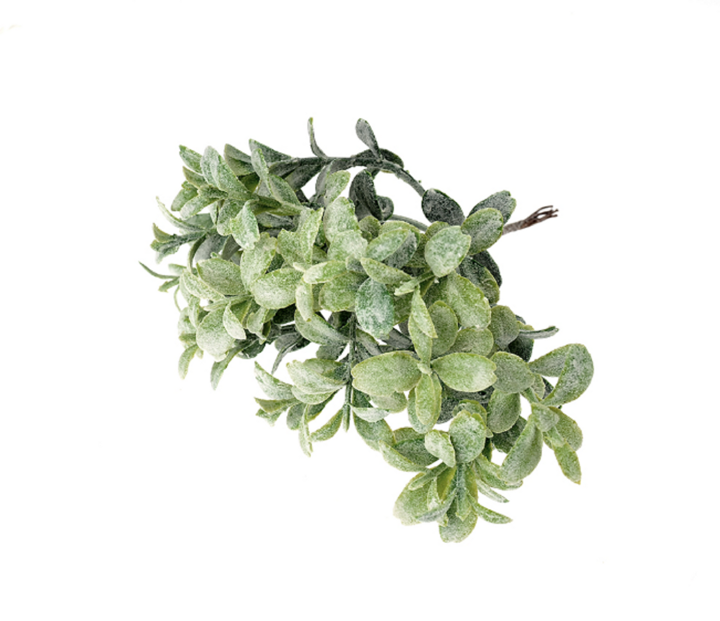 12 Stems / Artificial Plastic Leaves SF035