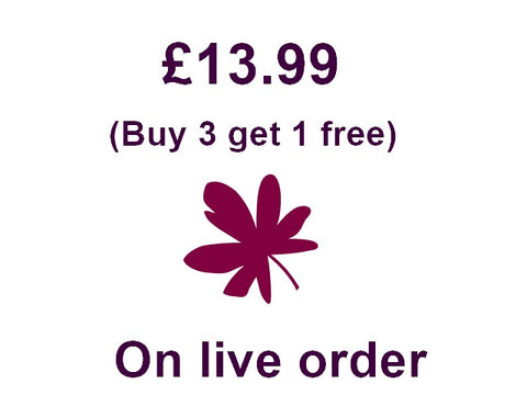 Press on nails (On live @ £13.99)