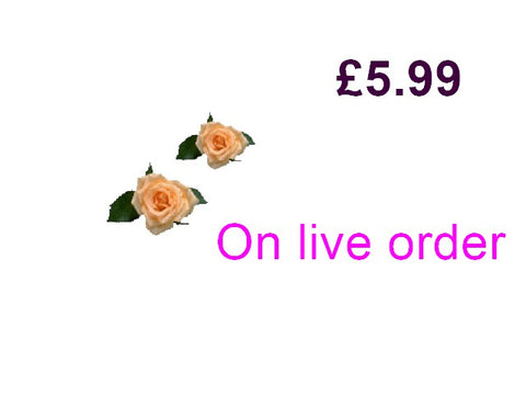 £5.99 (On live order)