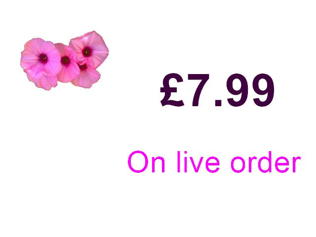 £7.99 (Other on live order)