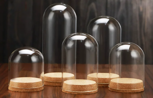 Flower Glass Dome Display  DC203