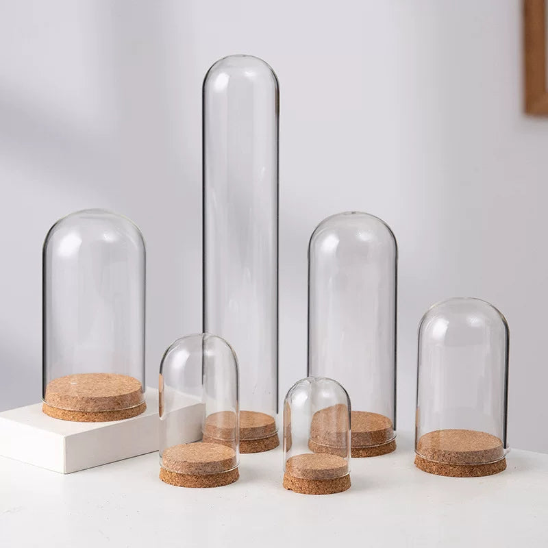 Flower Glass Dome Display  DC203