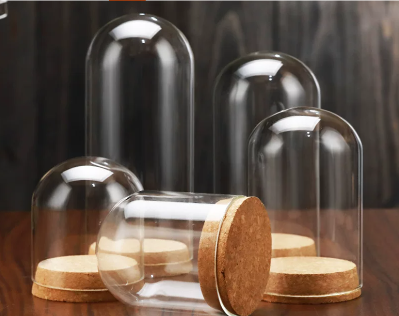 Flower Glass Dome Display  DC203