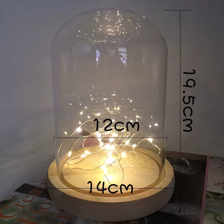 1 piece / Transparent LED Glass Dome With Natural Wooden Base, Home Decoration, Flower Display  DC201