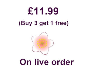 Press on nails (On live @ £11.99)