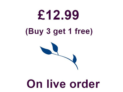 Press on nails (On live @ £12.99)