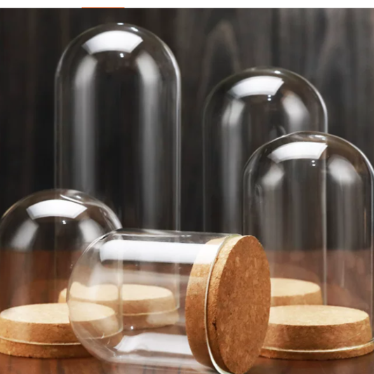 Flower Glass Dome Display  DC203