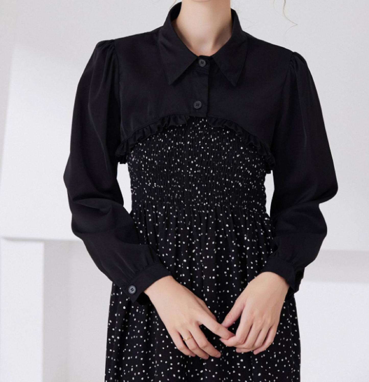 B25 / Off White, Black / Chiffon Fake Collar, False Collar, Removable Collar