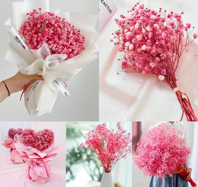 2000 Pink Baby Breath Flower
