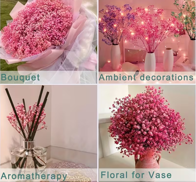 2000 Pink Baby Breath Flower