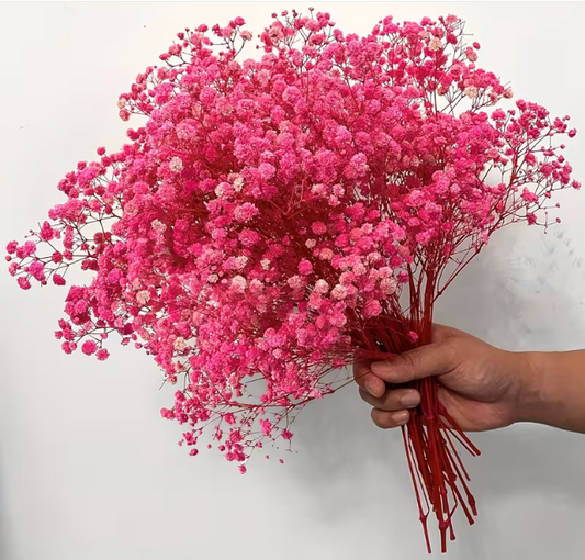 2000 Pink Baby Breath Flower