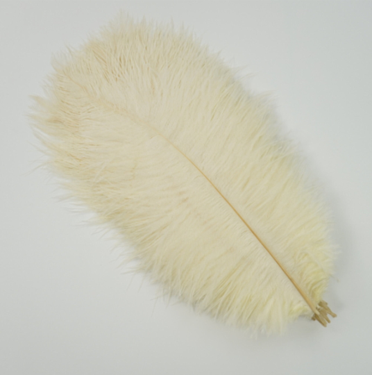 10 Pcs / 25-30cm / Fasinator Ostrich Feathers, Party Hat Decoration