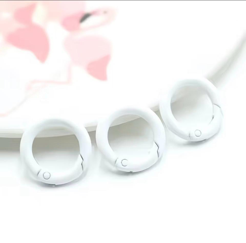 10 pieces / Random Colored Metal Spring Clasps O-Rings