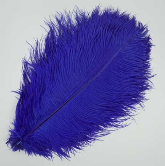 10 Pcs / 25-30cm / Fasinator Ostrich Feathers, Party Hat Decoration