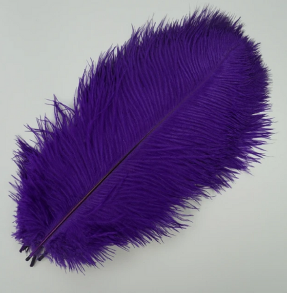 10 Pcs / 25-30cm / Fasinator Ostrich Feathers, Party Hat Decoration