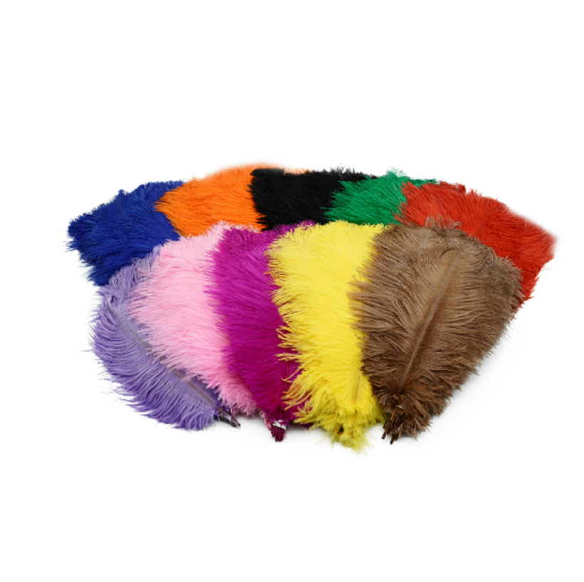 Appliques / Feather / Iron straps