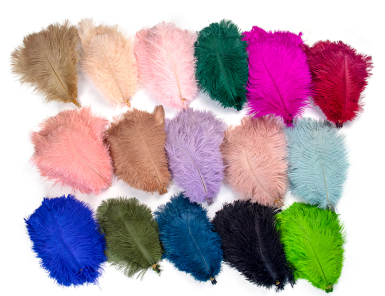 10 Pcs / 25-30cm / Fasinator Ostrich Feathers, Party Hat Decoration