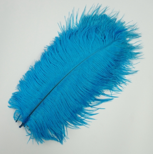 10 Pcs / 15-20cm / Fasinator Ostrich Feathers, Party Hat Decoration, Hair Accessories Feather