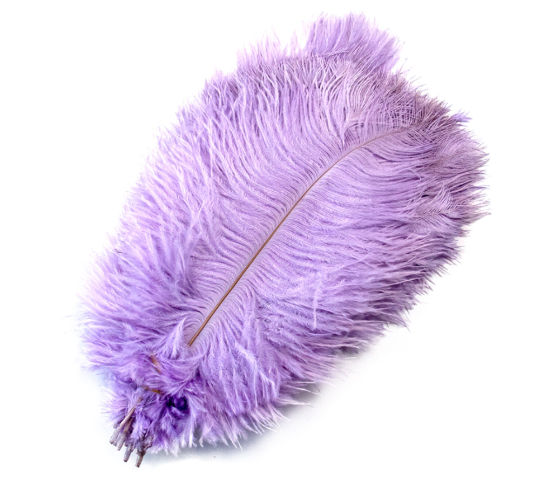 10 Pcs / 15-20cm / Fasinator Ostrich Feathers, Party Hat Decoration, Hair Accessories Feather