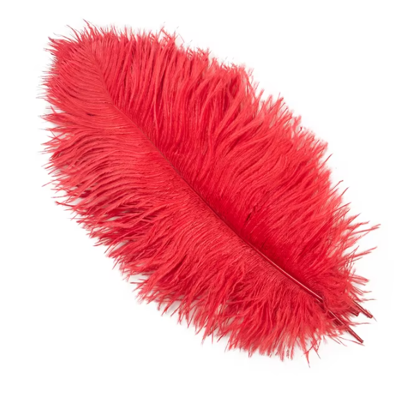 10 Pcs / 25-30cm / Fasinator Ostrich Feathers, Party Hat Decoration