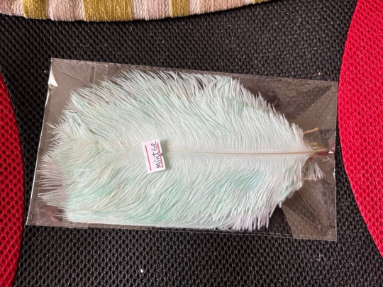 10 Pcs / 25-30cm / Fasinator Ostrich Feathers, Party Hat Decoration