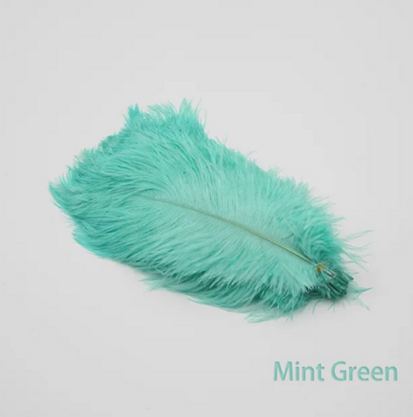 10 Pcs / 15-20cm / Fasinator Ostrich Feathers, Party Hat Decoration, Hair Accessories Feather