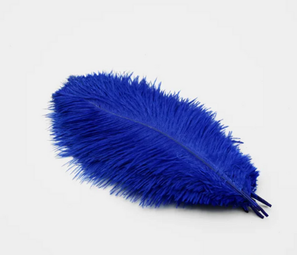 10 Pcs / 25-30cm / Fasinator Ostrich Feathers, Party Hat Decoration