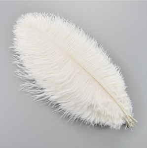 10 Pcs / 15-20cm / Fasinator Ostrich Feathers, Party Hat Decoration, Hair Accessories Feather