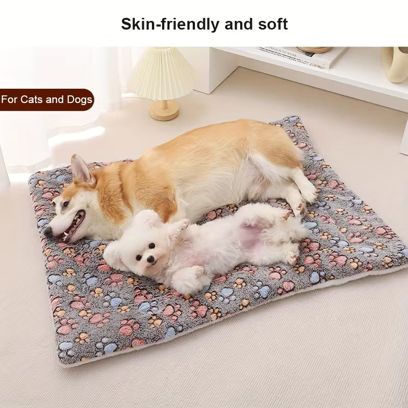 Pet Bed