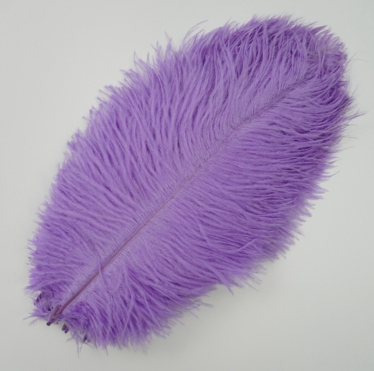 10 Pcs / 25-30cm / Fasinator Ostrich Feathers, Party Hat Decoration