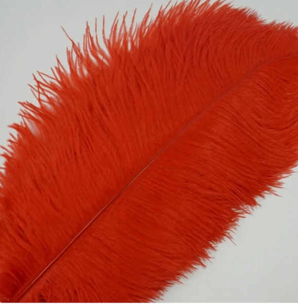 10 Pcs / 25-30cm / Fasinator Ostrich Feathers, Party Hat Decoration