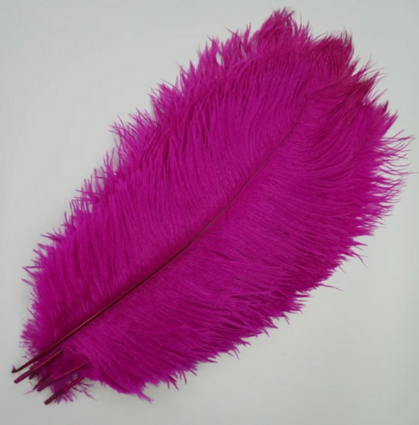 10 Pcs / 25-30cm / Fasinator Ostrich Feathers, Party Hat Decoration