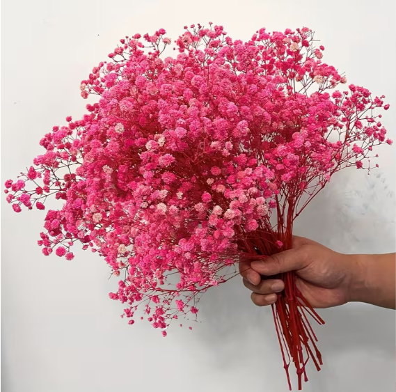 2000 Pink Baby Breath Flower
