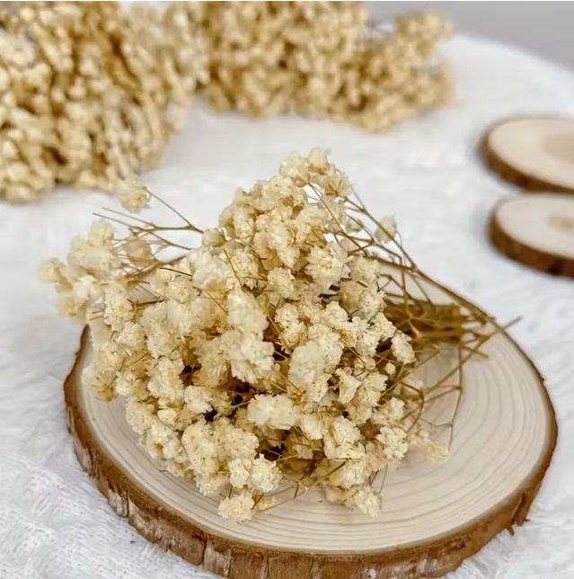 99 White Baby Breath Flower