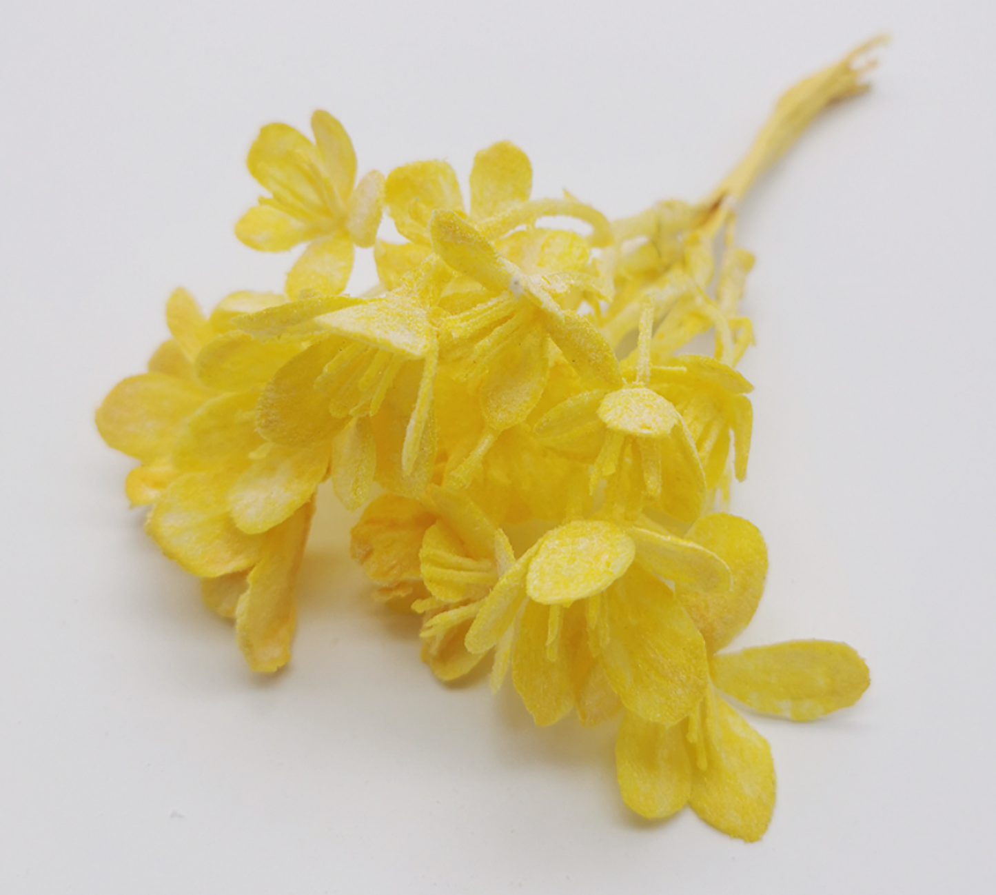 12 Stems /  Artificial Plastic Leaves SF041