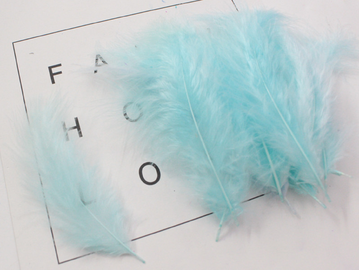 100 pcs / DIY Craft Soft Swansdown Feather Trim